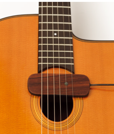 [AG杂志]吉普赛爵士吉他手Django Reinhardt的拾音器使用心得 AG281