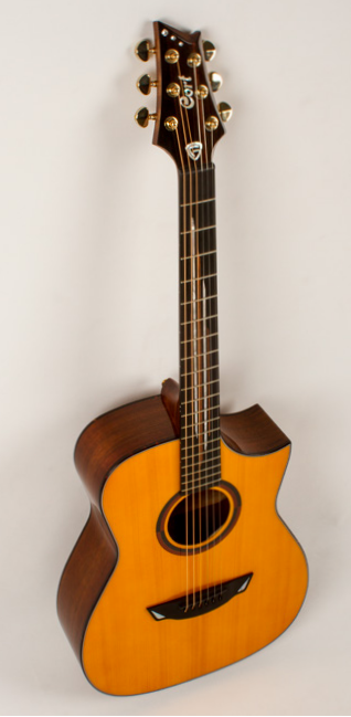 [AG杂志]Cort出品的Frank Gambale Luxe是一把响应迅速的民谣吉他  AG290