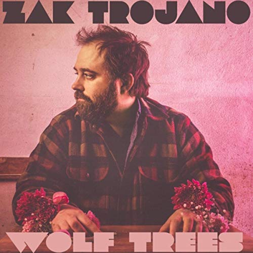 [AG专辑]质朴的歌声为情绪留白：Wolf Trees By Zak Trojano
