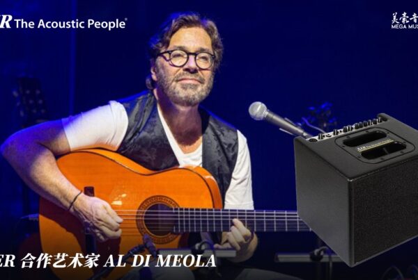 Al Di Meola Aer