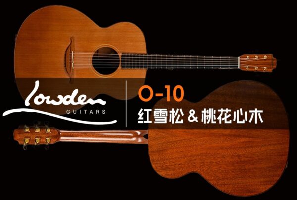 Damien Rice Lowden