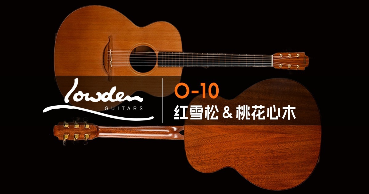 Damien Rice Lowden