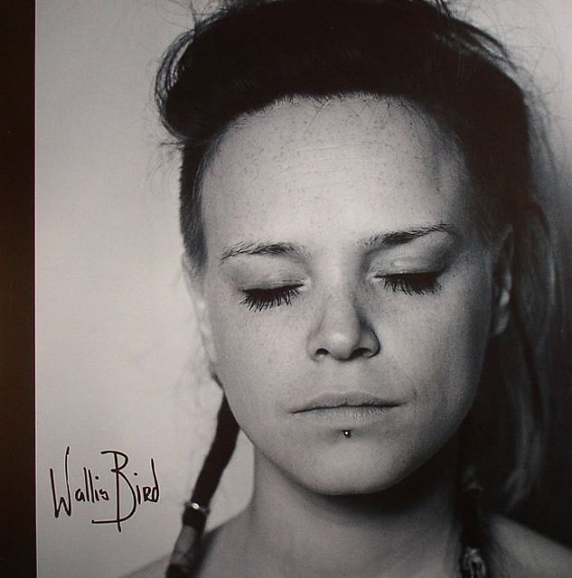 Wallis Bird Lakewood